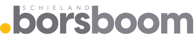 Schieland Borsboom NVM Makelaars